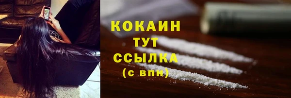 эйфоретик Арсеньев