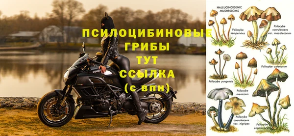 jwh Армянск