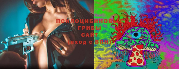 эйфоретик Арсеньев